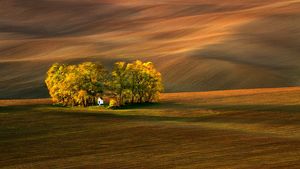 Fotograf Radek Severa