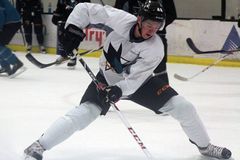 NHL: Čeští mladíci září dále, trefili se Palát i Hertl