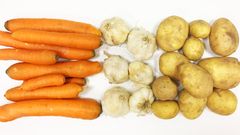 Zelenina, brambory, česnek, mrkev, ilustrační