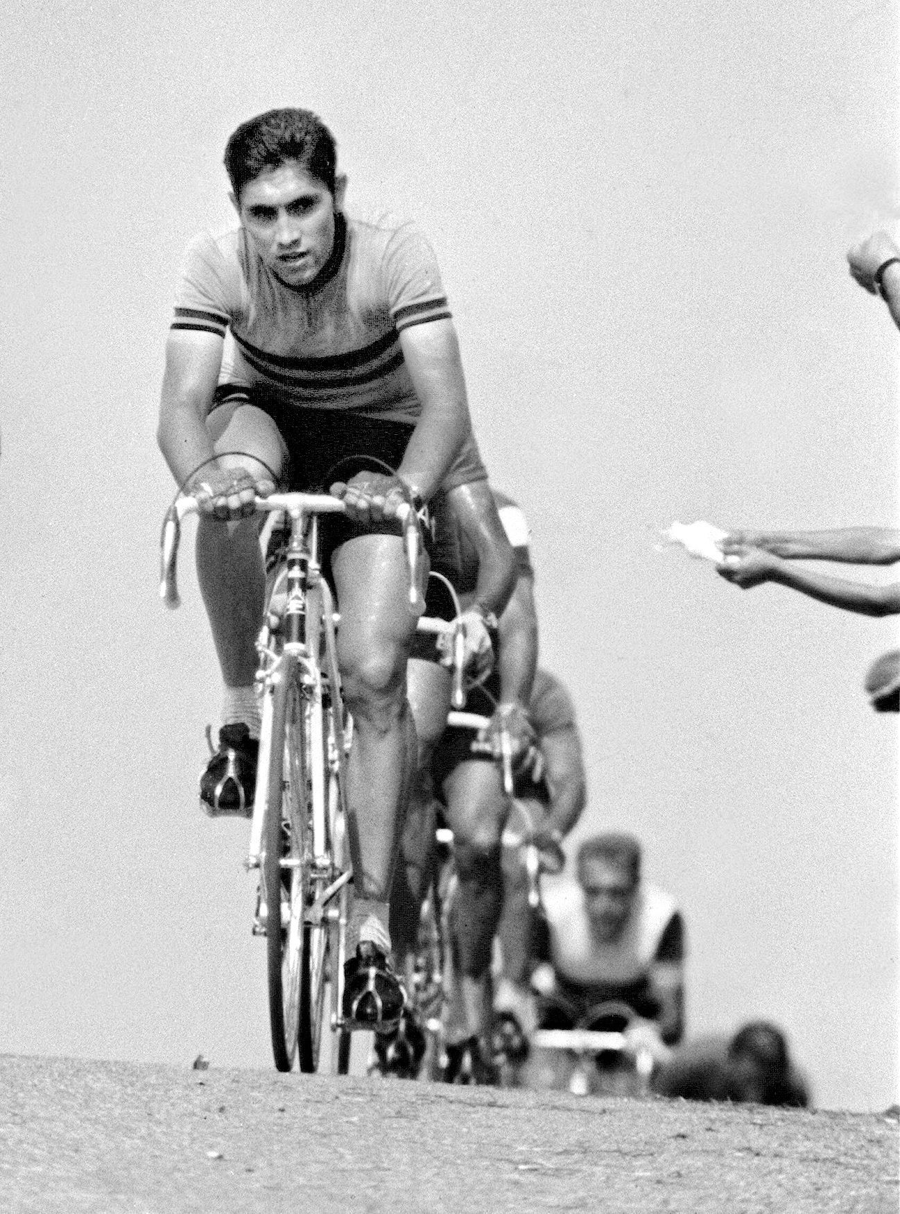 Jednorázové užití / Fotogalerie / Kanibal Merckx / ČTK