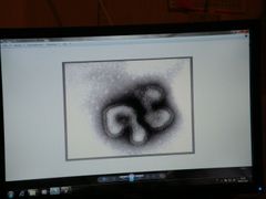 Zkoumaný virus chřipky na obrazovce elektronového mikroskopu.