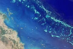 Velký bariérový útes se zotavuje. Pomáhá zákaz rybolovu