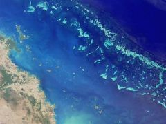 Velký bariérový útes. Růst korálů v něm od roku 1990 poklesl o 14 procent.