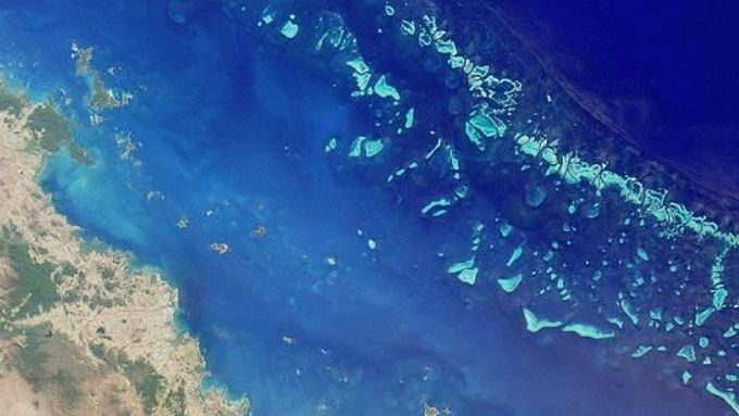 Korálové útesy ničí oteplující se mořská voda.