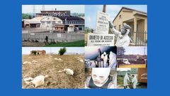 Seveso 1976: – chemický Černobyl: 30 kg jedu a tváře poznamenané navždy, Magazín, codagalerie