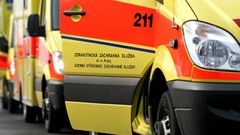 Běžkyně v Praze spadla ze skály, ztratila orientaci. Záchranáři ji našli pomocí aplikace