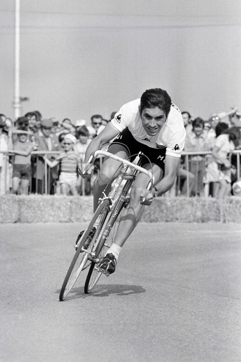 Jednorázové užití / Fotogalerie / Kanibal Merckx / Profimedia