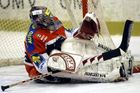 "Jen příprava na baráž." Extraliga zažila zoufalé propadáky, ty teď straší Litvínov