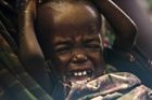 Dobytek trpí nemocemi, oblast zamořily kobylky. V chudé části Keni umírají lidé hlady