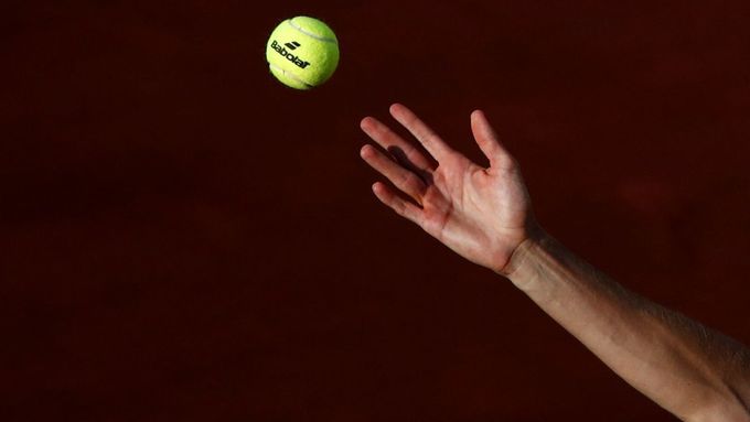 Albert Ramos-Vinolas na French Open 2018