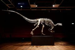 V Paříži draží kostru dinosaura Barryho. Prodat by se mohla za 30 milionů korun