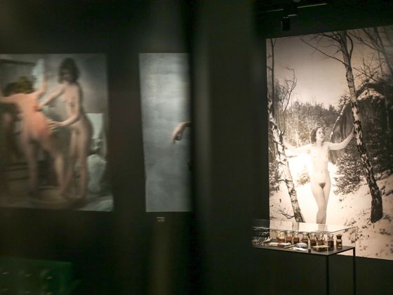 Výstava Praha dekadentní Výstava Praha dekadentní, akty, erotika, nahota, Galerie Tančící dům