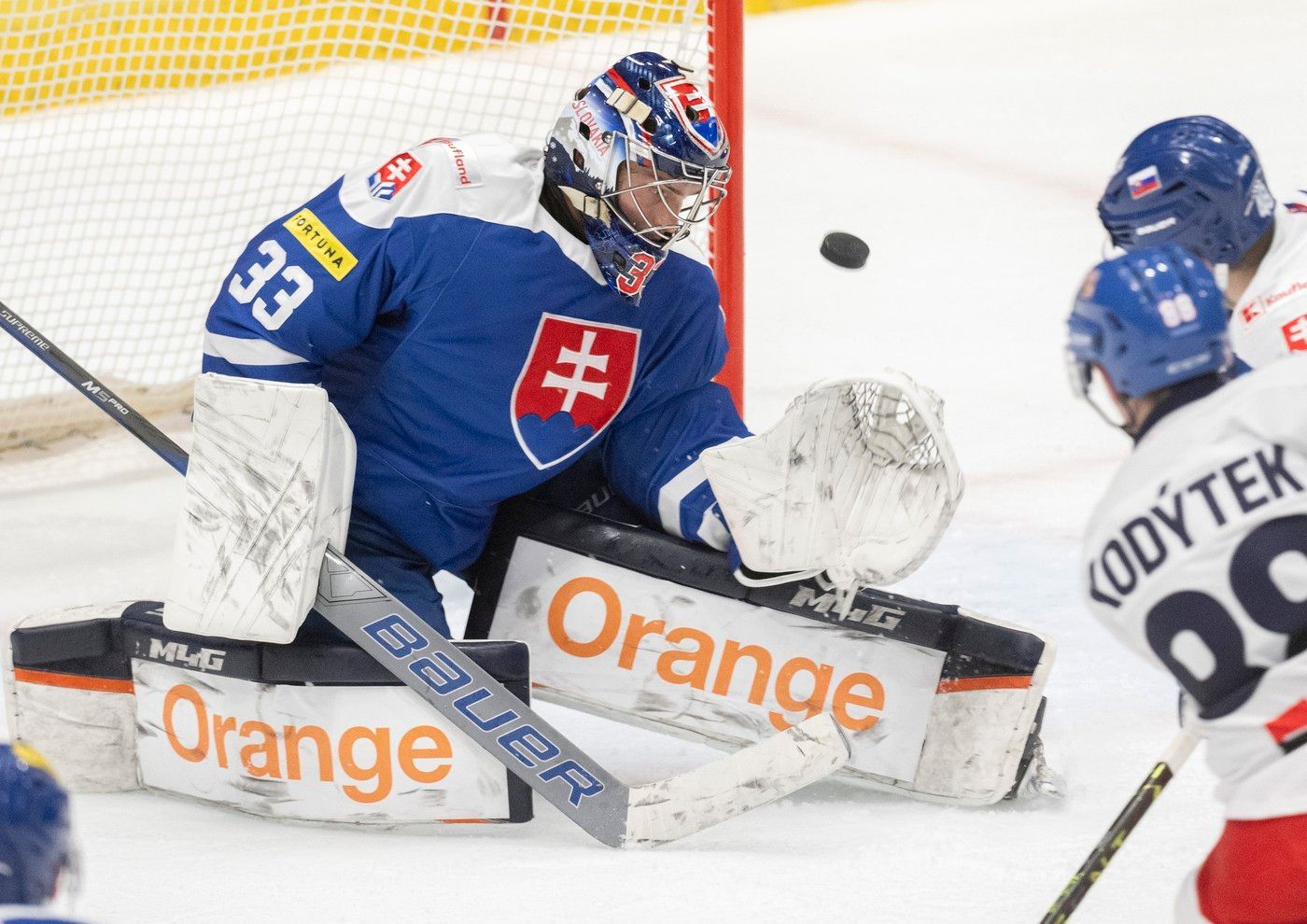 Česko - Slovensko, příprava na MS v hokeji
