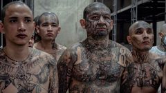 cecot salvador věznice