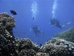 Potápěči v korálovém ráji, pobřeží Zanzibaru.