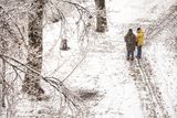 Pražská Technická správa komunikací vyslala do ulic kvůli hustému sněžení více než sedmdesátku sypačů.