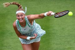 Kvitovou čeká na úvod Wimbledonu Italka, Veselý vyzve Kordu