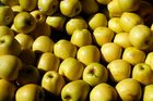 Sklizeň ovoce v Česku byla loni nejvyšší od roku 2006, rekordní rok měly hrušky