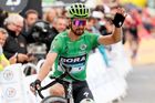 Tour de France - The 59.5-km Stage 20 from Albertville to Val Thorens Peter Sagan