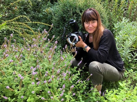 Veronika Souralová Veronika Souralová: makrofotografie