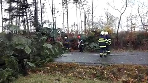 VIDEO: Na Olomoucku komplikují dopravu spadlé stromy