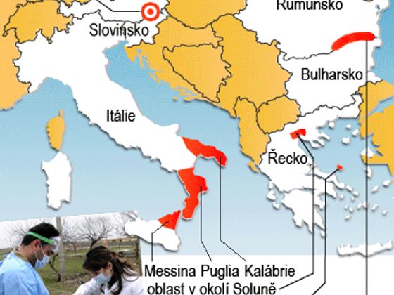 Infobox ptačí chřipka Rakousko mapa