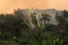 Za indonéské požáry může světová poptávka po oleji, lidé nevidí i čtyři měsíce slunce, říká novinář