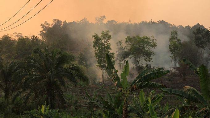 Požáry v Indonésii.