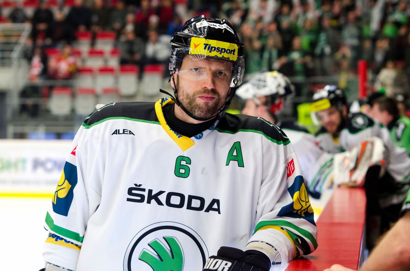 TELH, Třinec - Ml. Boleslav, play off, čtvrtfinále