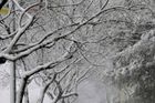 Česko sevře drsný mráz, do rána napadne až 20 cm sněhu