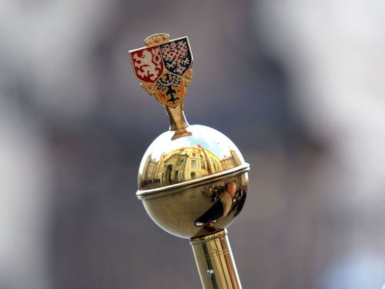 Volby prezidenta 2013 Hradní stráž na slavnostním nástupu