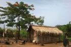 Úřady: Ebola se do Sierry Leone dostala kvůli léčitelce