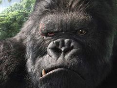 foto z filmu King Kong