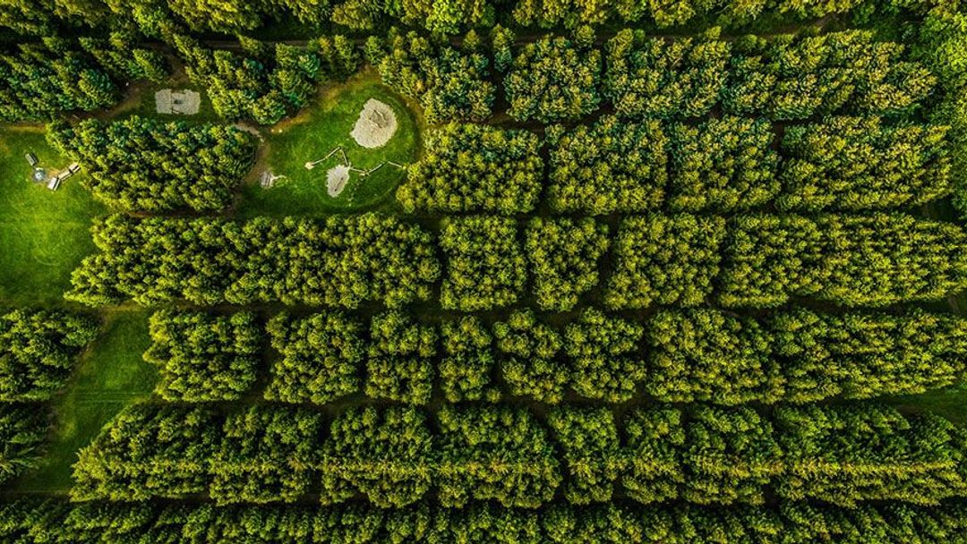 GALERIE: Země z ptačí perspektivy - nejlepší fotky zachycené drony