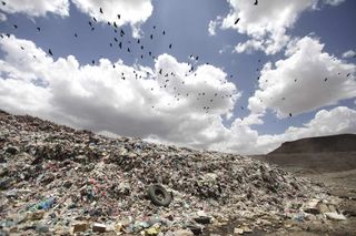 Birds fly over a garbage disposal site near Sanaa