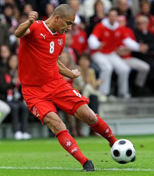 EURO 2008 : Gökhan Inler