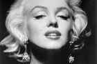 Výstava o Marilyn i přes krádež bude, rozhodl pořadatel