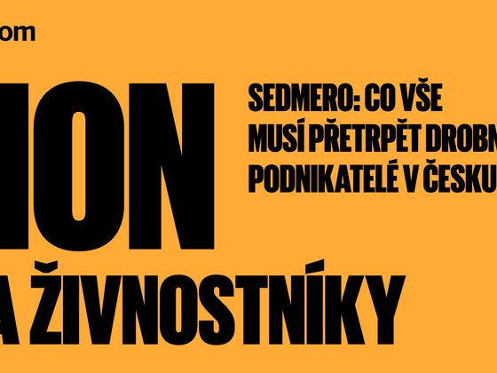 Z dalšího obsahu čísla Ekonom 1104