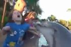 Video: Netrpělivý delfín při krmení kousl 8letou dívku
