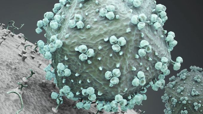 Virus HIV, ilustrační foto