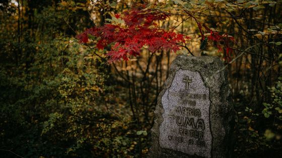 Tajemný hrob na hřbitově bláznů: kdo byla mladá žena, jejíž jméno se nesmí vyslovit?