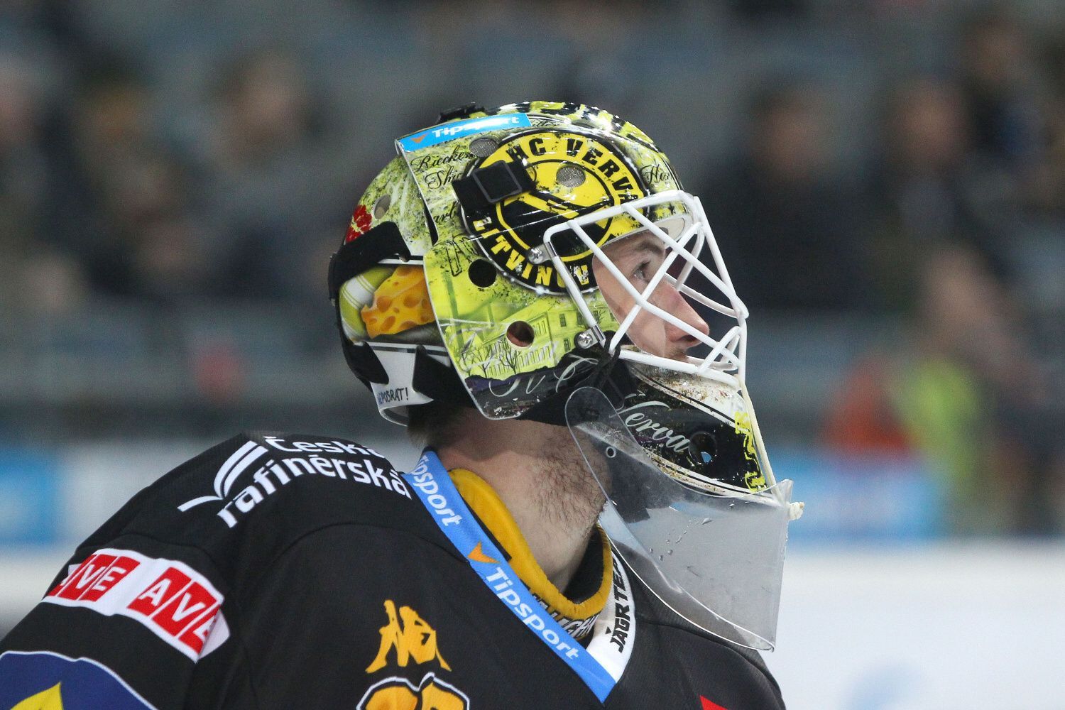 Jaroslav Janus, HC Verva Litvínov (2015-16)