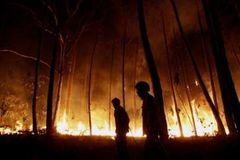 Austrálii pohlcují rozsáhlé lesní požáry