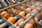 Jurečka: Česko bude kontrolovat vejce dovážená ze všech zemí. Varování přišlo z Německa