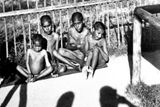 Typhoid fever was a common disease in the camp. The infected were isolated from the others.