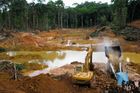 Odlesňování - deštný  prales - devastace - Amazonie