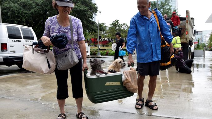 Tropická bouře Harvey v Texasu má i své psí hrdiny - ztracené a znovu nalezené.