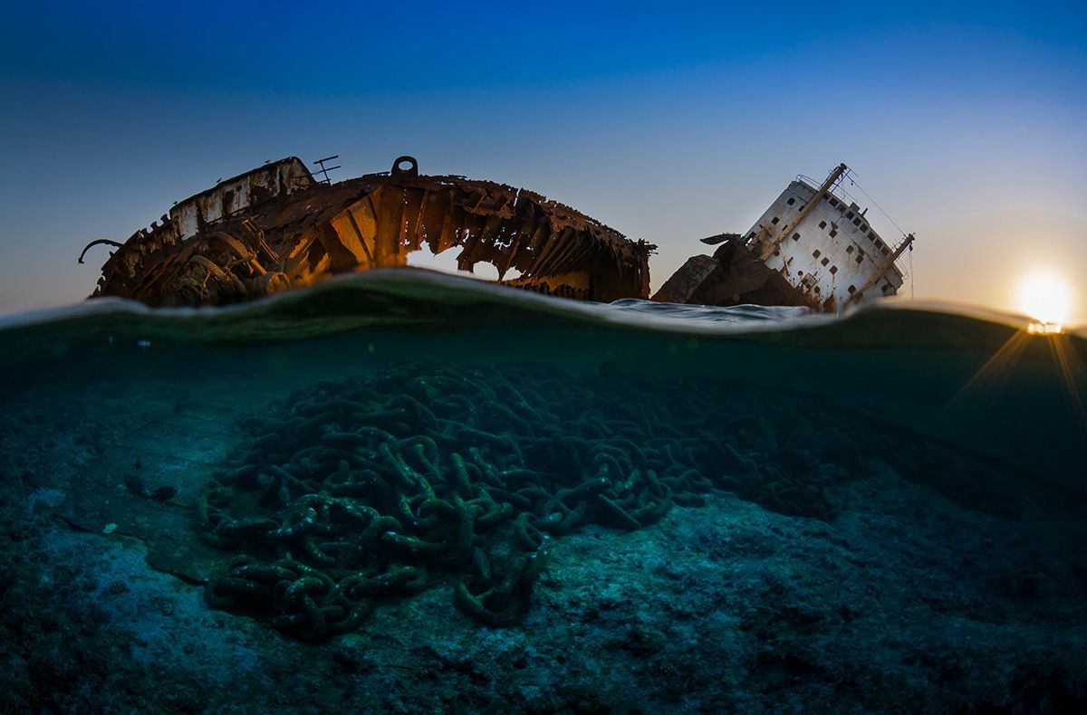 Underwater Photographer of the Year 2017: Vítězové soutěže