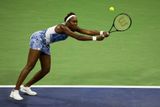 Venus v posledních letech zůstává ve stínů své úspěšnější sestry, přesto má na svém kontě sedm triumfů na Grand Slamech (5x Wimbledon a 2x US Open). Se Sestrou sbírala triumfy v deblu nejen na "velké čtyřce", ale třeba i na olympijských hrách.