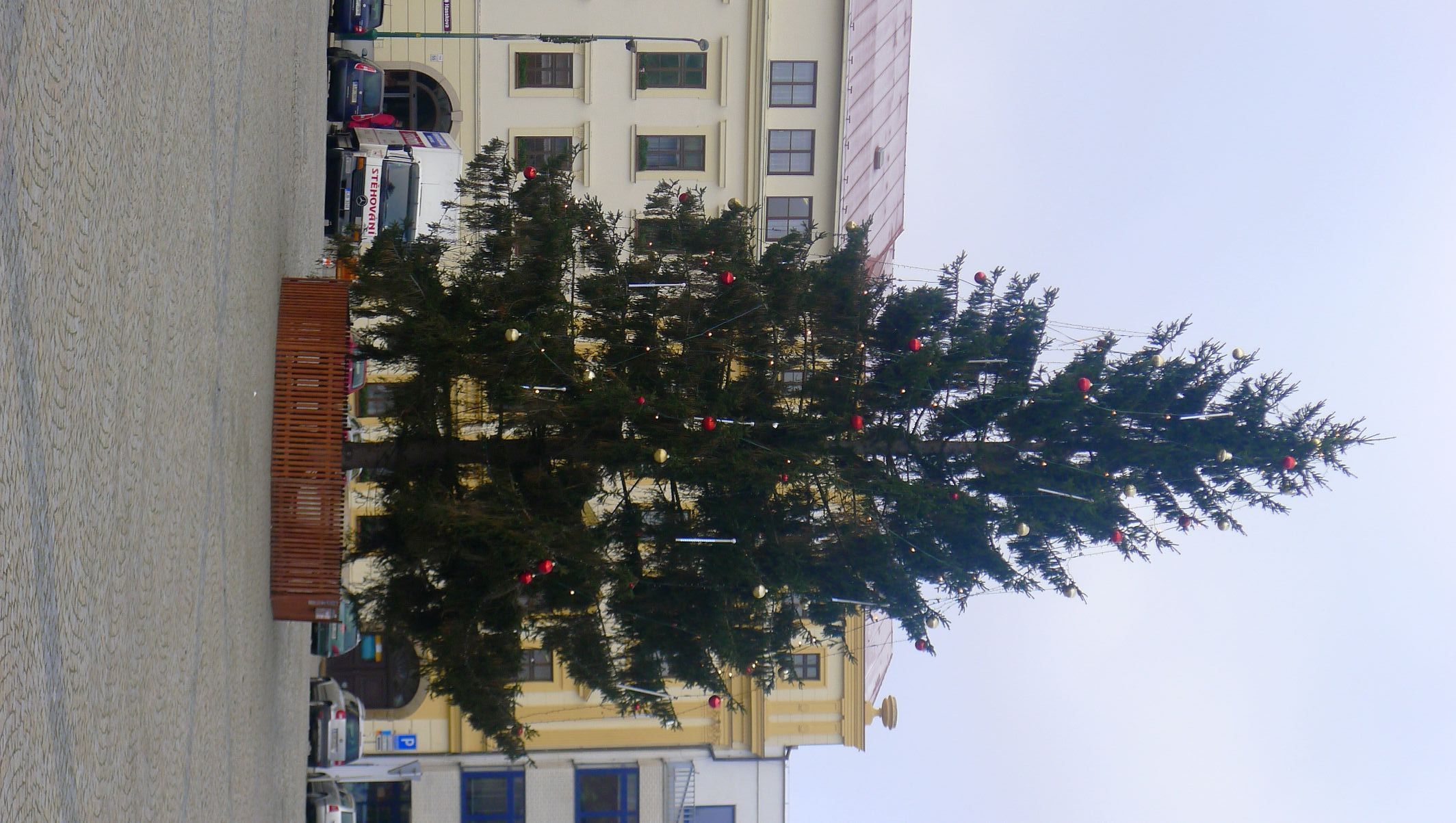 Vánoční stromy - Třebíč